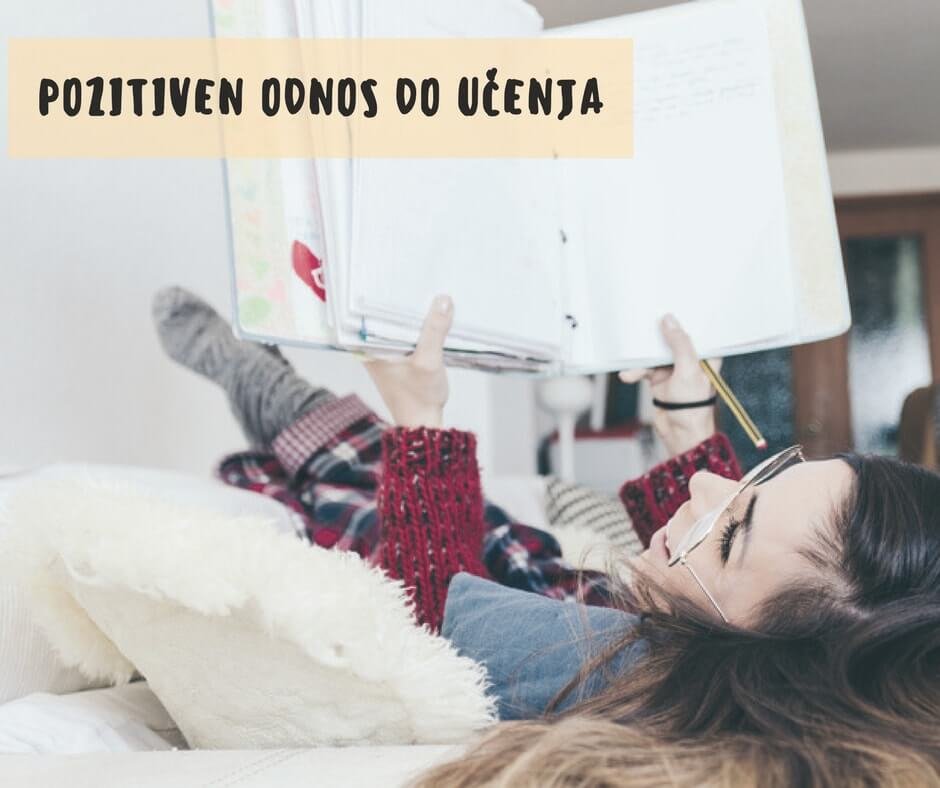 Z inštrukcijami do pozitivne učne izkušnje