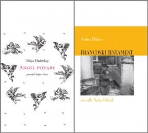 Romana za esej na maturi 2019